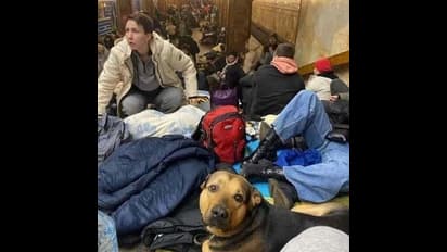 Launching ‘high-precision strikes’: Russia warns Ukraine residents in Kyiv to flee