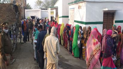 Haryana: Zila Parishad voting to begin on October 30, panchayat election on November 2
