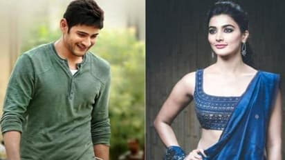 Mahesh:పూజా హెగ్డే పై మండిపడుతున్న మహేష్ ఫ్యాన్స్