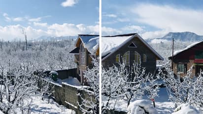 ಪ್ರವಾಸಿಗರ ಸಂಖ್ಯೆ ಹೆಚ್ಚಾಗ್ತಿದ್ದಂತೆ ಹೋಮ್ ಸ್ಟೇ ಆಗಿ ಬದಲಾಗ್ತಿದೆ ಮನೆ 