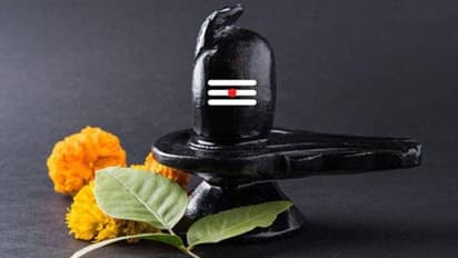 Mahashivratri 2022: महाशिवरात्रि पर करें रुद्राभिषेक, धन लाभ सहित अन्य इच्छाएं भी हो सकती हैं पूरी