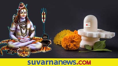 Maha shivratri 2022: ಶಿವರಾತ್ರಿ ಆಚರಣೆ ಸಂಭ್ರಮ ಎಲ್ಲೆಲ್ಲಿ ಹೇಗೆಲ್ಲ ನಡೆಯುತ್ತೆ ಕಣ್ತುಂಬಿಕೊಳ್ಳೋಣ ಬನ್ನಿ..