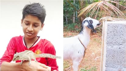 അപൂര്വ്വ സൗഹ്യദത്തിന്റെ കഥ പറഞ്ഞ് അണ്ണാന് കുഞ്ഞും ആടും