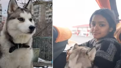 Russia Ukraine : പ്രിയപ്പെട്ട വളർത്തുപട്ടിയുമായി യുക്രൈന്‍ അതിര്‍ത്തിയില്‍ കുടുങ്ങി മലയാളി പെണ്‍കുട്ടി