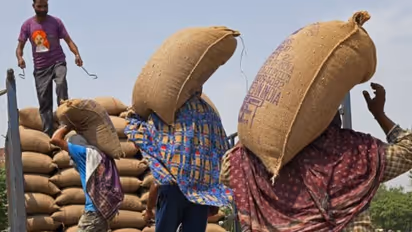 अगर कमाना चाहते हैं प्रति क्विंटल दो हजार रुपये, तो इस तरह से करें रजिस्ट्रेशन, सरकार देगी पैसे
