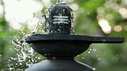 Mahashivratri 2024 :  மகாசிவராத்திரியில் ருத்ராபிஷேகம் ஏன் முக்கியமானது தெரியுமா..? அதன் பலன்கள் இதோ!!