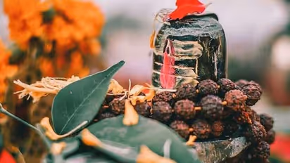 Mahashivratri 2022:  ಇಂದು ಈ ಕೆಲಸಗಳನ್ನು ಮಾಡಿದ್ರೆ ಇಷ್ಟಾರ್ಥ ಸಿದ್ಧಿ