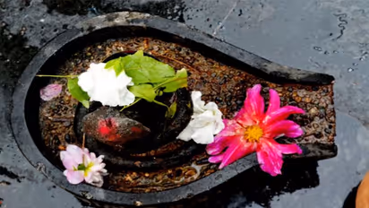 ভগবান শিব এই পাঁচ ধরনের ফুল পছন্দ করেন, এর রয়েছে অনেক অলৌকিক উপকারিতা