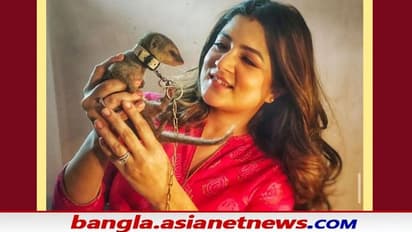 আইনি ঝামেলায় জড়ালেন শ্রাবন্তী, অপরাধের প্রমাণ মিললেই হতে পারে কারাবাস