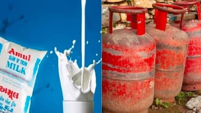 ద్రవ్యోల్బణం డబుల్ ఎటాక్: పాలు, ఎల్పిజి రూపంలో దెబ్బ మీద దెబ్బ, సామాన్యుల జేబుపై భారం..