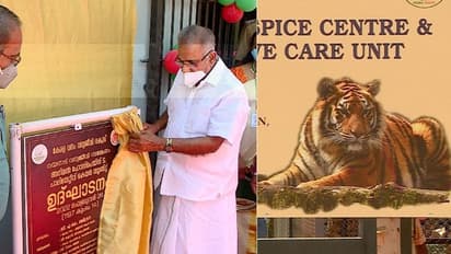 Wildlife Care :'ഇത് ഞങ്ങളുടെ ഏരിയ'; കടുവകൾക്കും പുലികൾക്കും ചികിത്സയ്ക്കും പരിചരണത്തിനും പ്രത്യേക കേന്ദ്രം