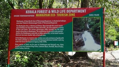 കല്ലാർ, മങ്കയം ഇക്കോ ടൂറിസം നാളെ തുറക്കും, പൊന്മുടി തുറക്കുന്നത് വൈകും