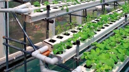 हाईटेक खेती : सरकार की मदद से खुशहाल बनेंगे अन्नदाता, विज्ञान के प्रयोग से सोना उगलेगी धरती