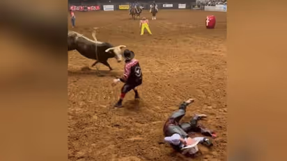 Bull Fight : കാളപ്പോരിനിടെ അപകടം; മകനെ രക്ഷിക്കാന്‍ ചാടിവീണ് അച്ഛന്‍