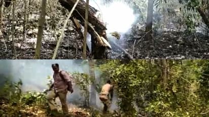 പെരിങ്ങമല വനമേഖലയിൽ കാട്ടുതീ പടരുന്നു: ഏക്കർ കണക്കിന് വനം കത്തിനശിച്ചു