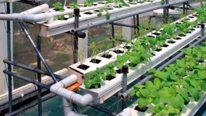 हाईटेक खेती : सरकार की मदद से खुशहाल बनेंगे अन्नदाता, विज्ञान के प्रयोग से सोना उगलेगी धरती