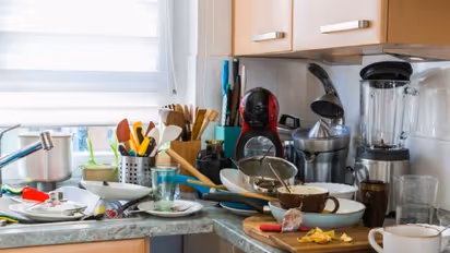 Home Remedies For Cockroaches Control : പാറ്റകളെ ഓടിക്കാം; ഇതാ ചില വഴികൾ