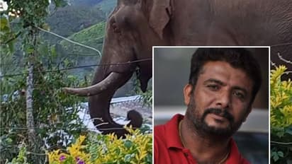 കൂരിരുട്ടിൽ ആനയുടെ മുന്നിൽപ്പെട്ട് യുവാവ്, ബൈക്കിൽ പിന്തുടർന്നു, രക്ഷപ്പെട്ടത് തലനാരിഴയ്ക്ക്