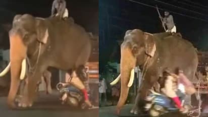 ലോറിയില്‍ നിന്ന് ആനയെ ഇറക്കുന്നതിനിടെ പാപ്പാനെ സ്കൂട്ടര്‍ ഇടിച്ചു; വിരണ്ടോടി കരിവീരന്‍