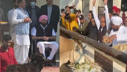 पंजाब चुनाव में जीत के लिए नेताओं के टोटके, कोई जेब में रख रहा सफेद फूल, कोई सिलवा रहे नए ड्रेस