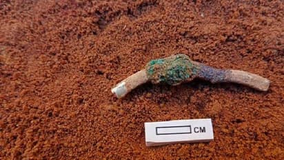 Chola era bracelet : ചോളകാലഘട്ടത്തിലെ സ്വർണ ബ്രേസ്ലെറ്റ്, ഇനിയും നിധി കണ്ടെത്താനുണ്ട് എന്ന് ഗവേഷകർ