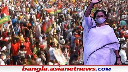 “উনি নামেই যোগী, কিন্তু কর্মে ভোগী”, অখিলেশের প্রচারে ফের ঝড় তুলে বিজেপি তীব্র আক্রমণ মমতার