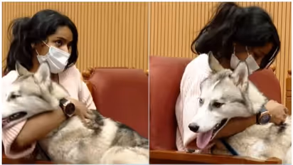 Zaira : 'ഒരാൾക്കായി പോളിസി മാറ്റില്ല, സേറയെ കയറ്റില്ലെന്ന് എയർ ഏഷ്യ', ആര്യ-സേറയുടെ കേരളാ യാത്രയിൽ അനിശ്ചിതത്വം