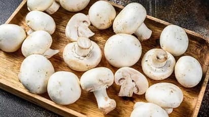 ఈ సమస్యలున్న వాళ్లు పుట్టగొడుగులను అసలే తినకూడదు..