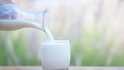 দুধ দাঁড়িয়ে খান নাকি বসে? সঠিক উপকার পেতে দুধ পানের নিয়মগুলো জানুন