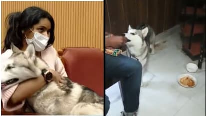 Arya and Zaira : കേരളാ ഹൗസിൽ പാർലേ ജി കഴിച്ച്  സേറ, ചോറ് മണപ്പിച്ചു പോലും നോക്കാതെ ആര്യയുടെ  'സൈബീരിയൻ ഹസ്കി'