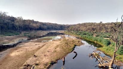 Haveri ಬೇಡ್ತಿ-ವರದಾ ಜೋಡಣೆಗೆ ಅನುದಾನ ನೀಡಿ