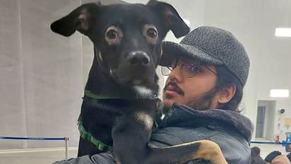 Indians can get their pets back from Ukraine as well; it is a one-time relaxation