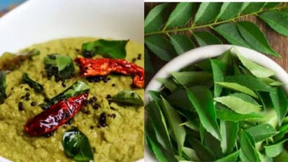 ஐந்து நிமிடத்தில் இன்ஸ்டன்ட் கறிவேப்பிலை சட்னி... இப்படி ஒரு முறை செய்தால்...இட்லி, தோசை 10 கூட சாப்பிடலாம்..!