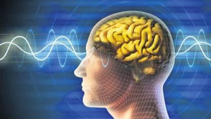 நினைவாற்றல் அதிகரிக்க "இந்த" உணவுகளை தினமும் சாப்பிடுங்கள்; மறதி ஒருபோதும் வரவே வராது..!!