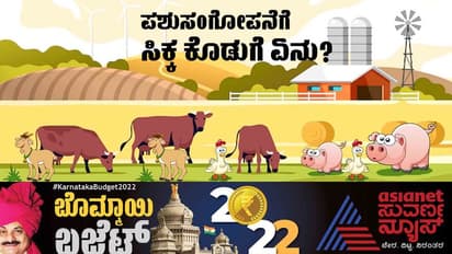 Karnataka budget 2022: ಬಜೆಟ್ನಲ್ಲಿ ಪಶುಸಂಗೋಪನೆ ಕ್ಷೇತ್ರಕ್ಕೆ ಭರ್ಜರಿ ಕೊಡುಗೆ ಘೋಷಿಸಿದ ಬಸವರಾಜ ಬೊಮ್ಮಾಯಿ