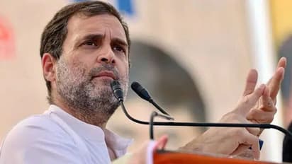 Do whatever you want, not afraid of PM Modi, says Rahul Gandhi on National Herald case