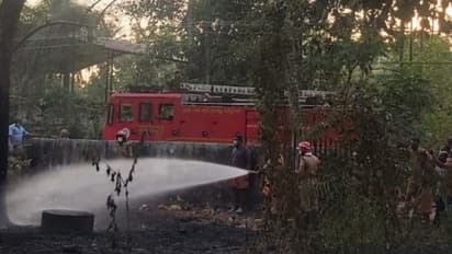 Fire Accident : കരിയില കൂട്ടിയിട്ട് കത്തിച്ചു; ഹരിപ്പാട് ഗ്യാസ് ഗോഡൗണിന് സമീപം തീപിടുത്തം