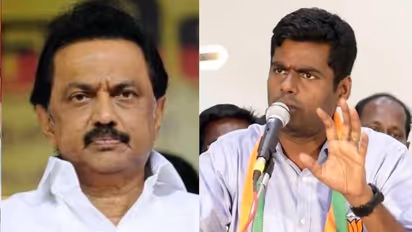 திமுக அமைச்சர்களின் ஊழல் பட்டியலை வெளியிட்டால் ஆட்சி கவிழ்ந்துவிடும்..! ஸ்டாலினுக்கு ஷாக் கொடுக்கும் அண்ணாமலை