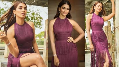 థైస్‌ షోతో కుర్రాళ్లకి చుక్కలు చూపిస్తున్న పూజా హెగ్డే.. ఇంత విరహం దాగుందా.. ఇప్పుడదే హాట్‌ టాపిక్‌