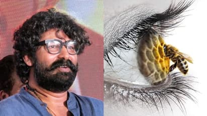 Laljose New Movie : ജോജുവിനെ നായകനാക്കി ലാല്ജോസ്; സോളമന്റെ തേനീച്ചകള് വരുന്നു