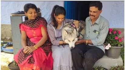 Ukraine Russia crisis : യുദ്ധഭൂമിയില് നിന്ന് സെറയുമായി ആര്യയെത്തി; എല്ലാവരും ഹാപ്പി