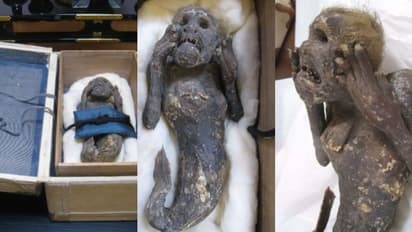 300 years old mummy: பசிபிக் கடலில் மீனவர்களிடம் சிக்கிய 300 வருட பழமையான மம்மி! கடற்கன்னி வடிவிலான தோற்றம்.!