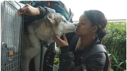 Ukraine Crisis:  ജീവന്‍ മാത്രം;  യുദ്ധമുഖത്ത് മനുഷ്യന്‍, മൃഗം എന്ന വേർതിരിവുകളില്ല