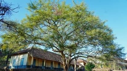 Mangalore ಕಾಸರಗೋಡು ಕನ್ನಡ ಶಾಲೆಗೆ ಮತ್ತೆ ಮಲಯಾಳಂ ಕಂಟಕ!