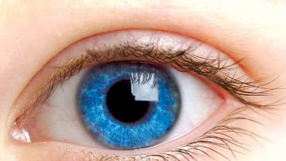 গরমকালে চোখের এই সাধারণ সমস্যাগুলো থেকে হতে পারে মৃত্যু! সাবধান থাকুন