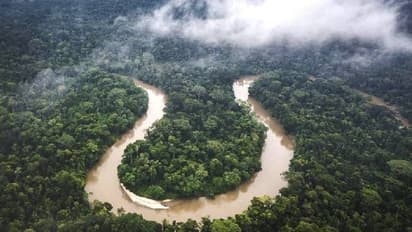 ആമസോൺ മഴക്കാടുകൾ നാശത്തിലേക്ക്, പ്രതീക്ഷിക്കുന്നതിലും വലിയ പ്രത്യാഘാതങ്ങളുണ്ടാവുമെന്ന് ഗവേഷകർ