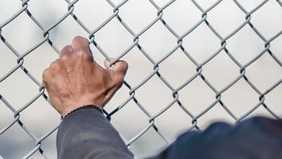 Palestinian claims he smuggled sperms from jail in bags of chips, became father of 4