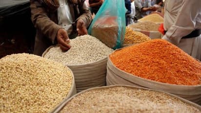 Ukraine crisis : യുക്രൈനിലെ സംഘർഷം, ആ​ഗോളതലത്തിൽ തന്നെ ഭക്ഷ്യവില കുതിച്ചുയരാനിടയാക്കുമെന്ന് മുന്നറിയിപ്പ്