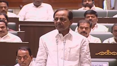 Telangana govt to fund medical students' studies back from Ukraine, says CM KCR