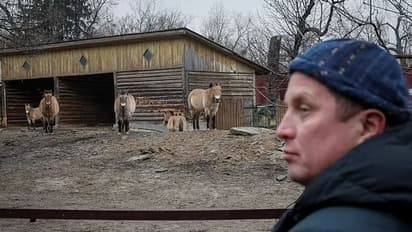 Kyiv zoo: മനുഷ്യരുടെ ഈ യുദ്ധത്തില്‍ ഞങ്ങള്‍ ചെയ്ത തെറ്റെന്താണ് ?